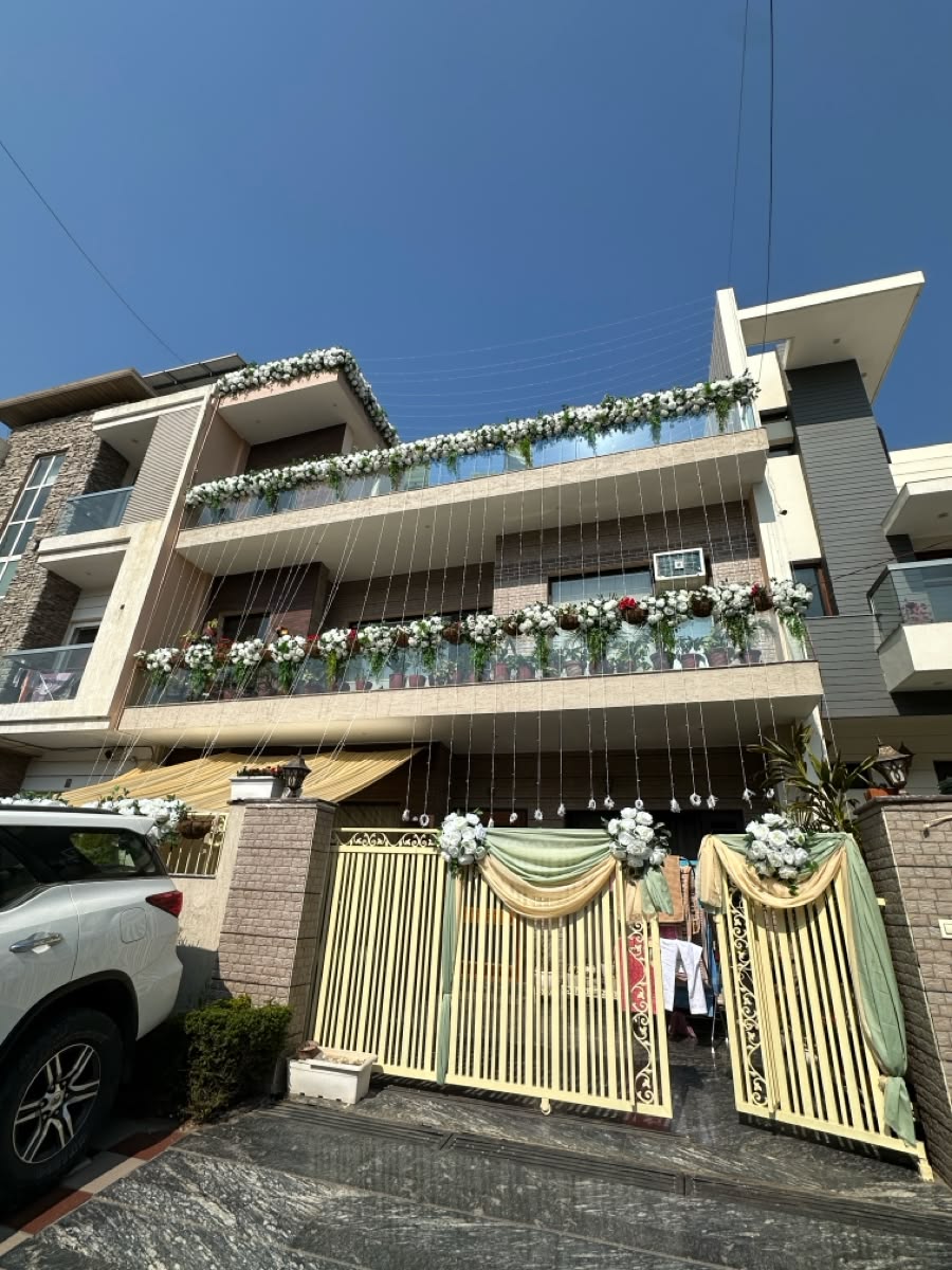 Full Celebration View